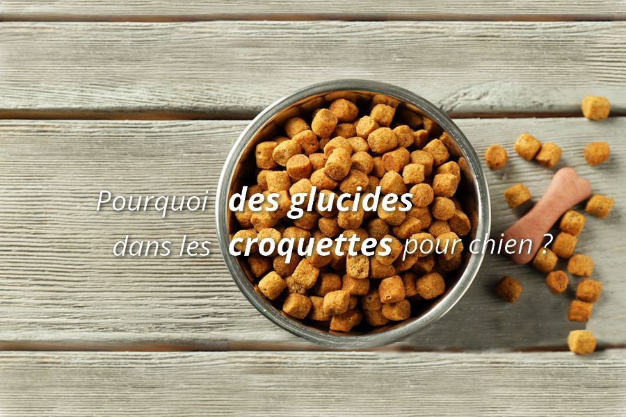 Quelles Croquettes Pour Nos Animaux